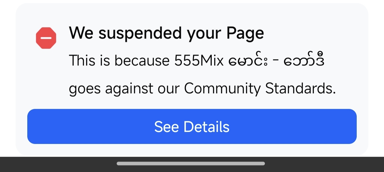Page Suspended